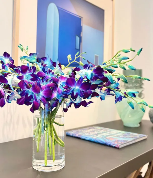 Fresh Cut Dendobium Orchids