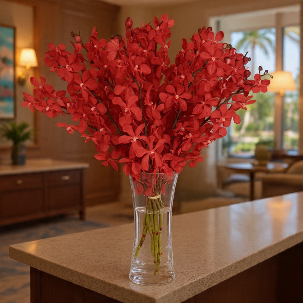 Fresh Cut Mokara Orchids