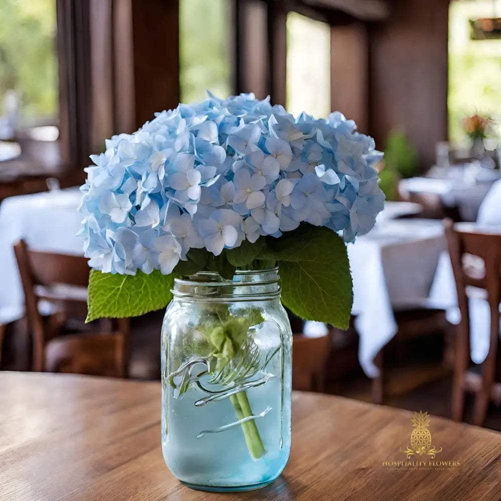 Hydrangea White Or Light Blue 30 Stems