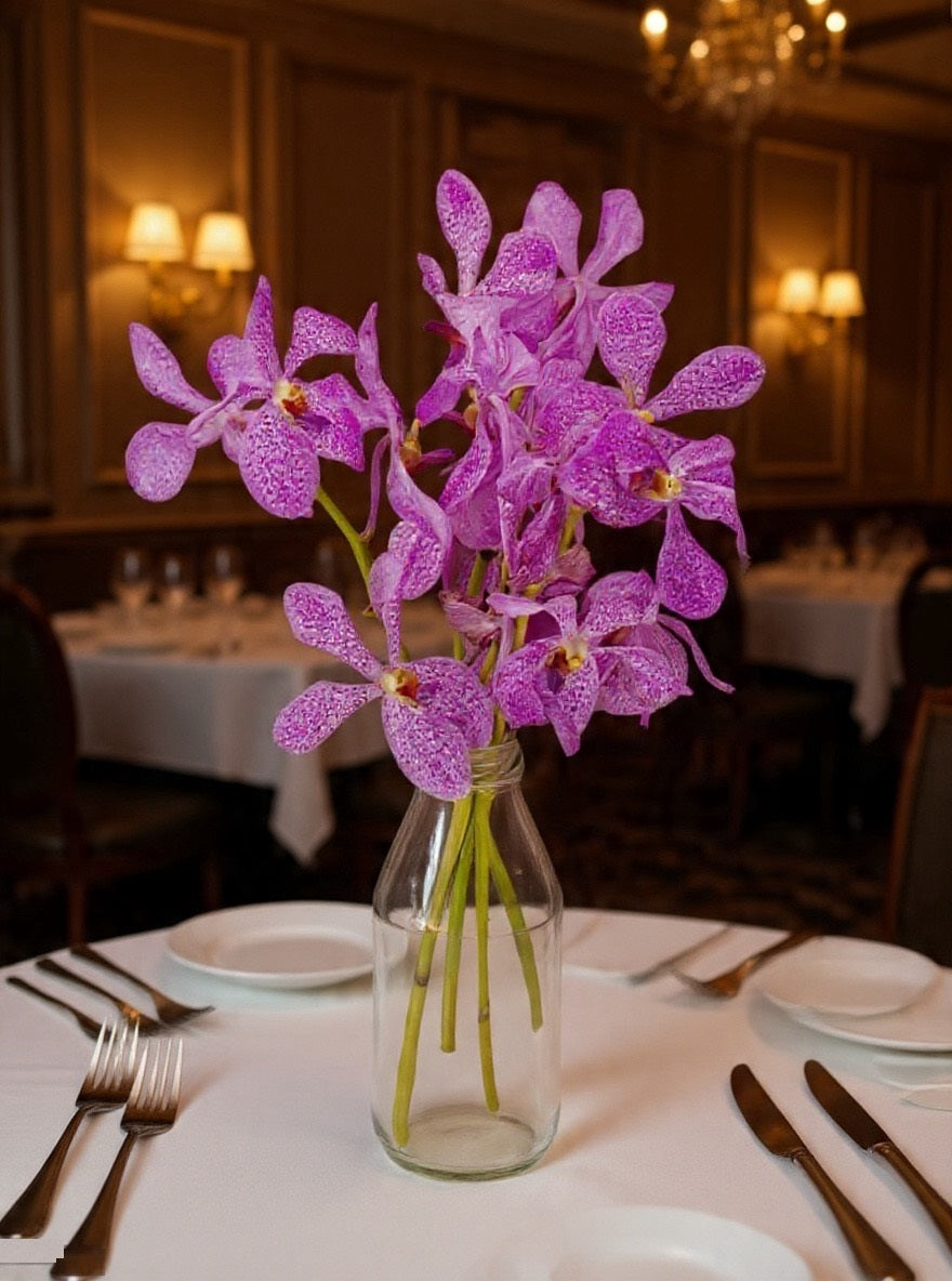 Fresh Cut Mokara Orchids