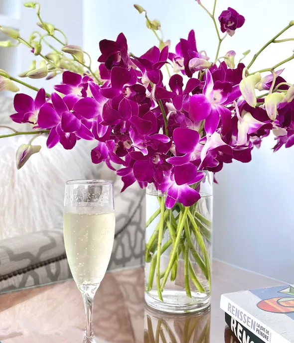 Fresh Cut Dendobium Orchids